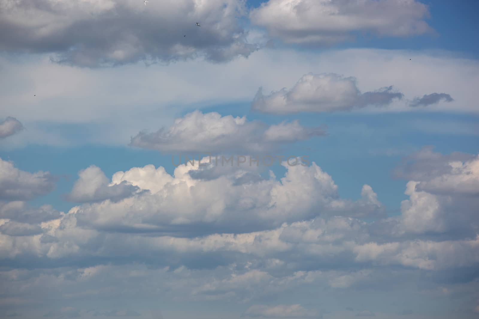 Shot Of White Clouds On Blue Sky by nenovbrothers