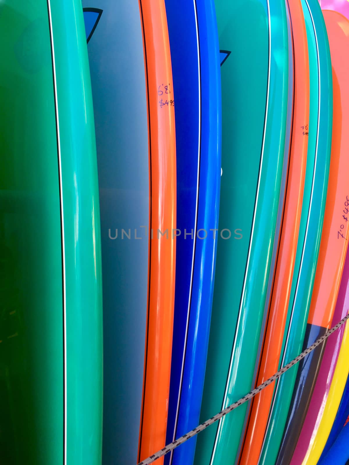 Surf boards lined up for sale by lovleah