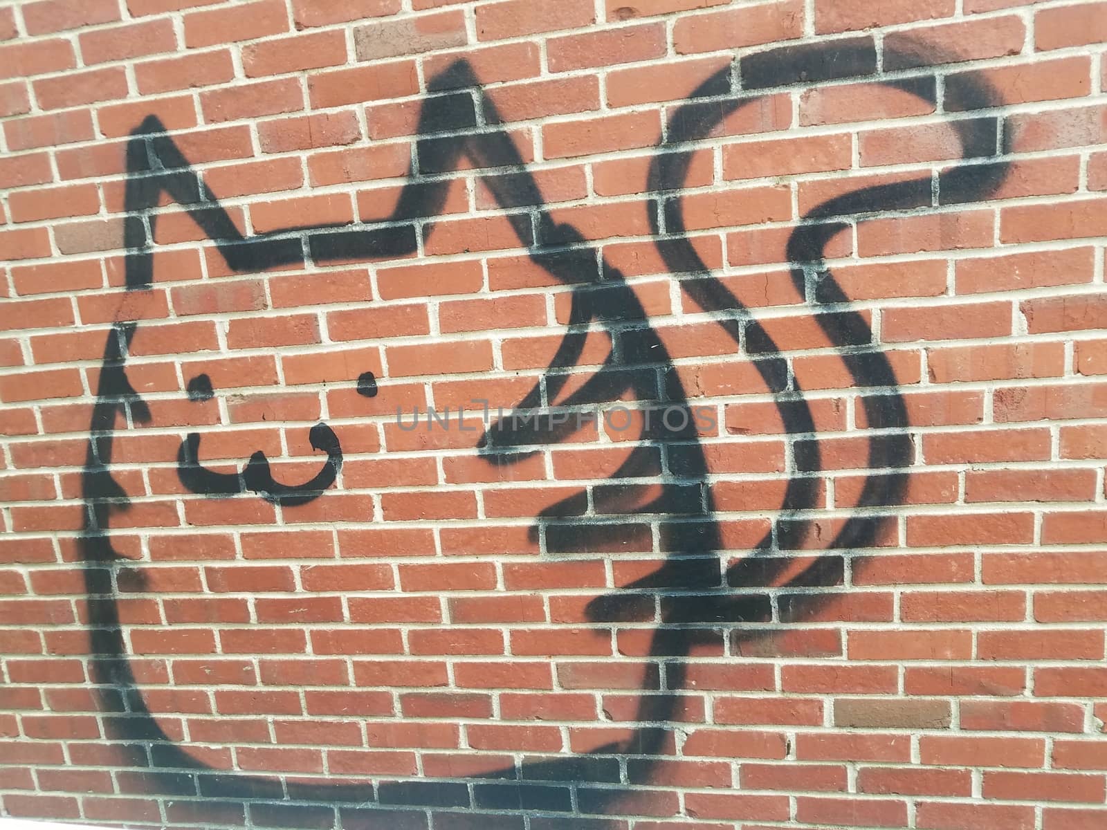 cat or animal graffiti vandalism on red brick wall on masontry