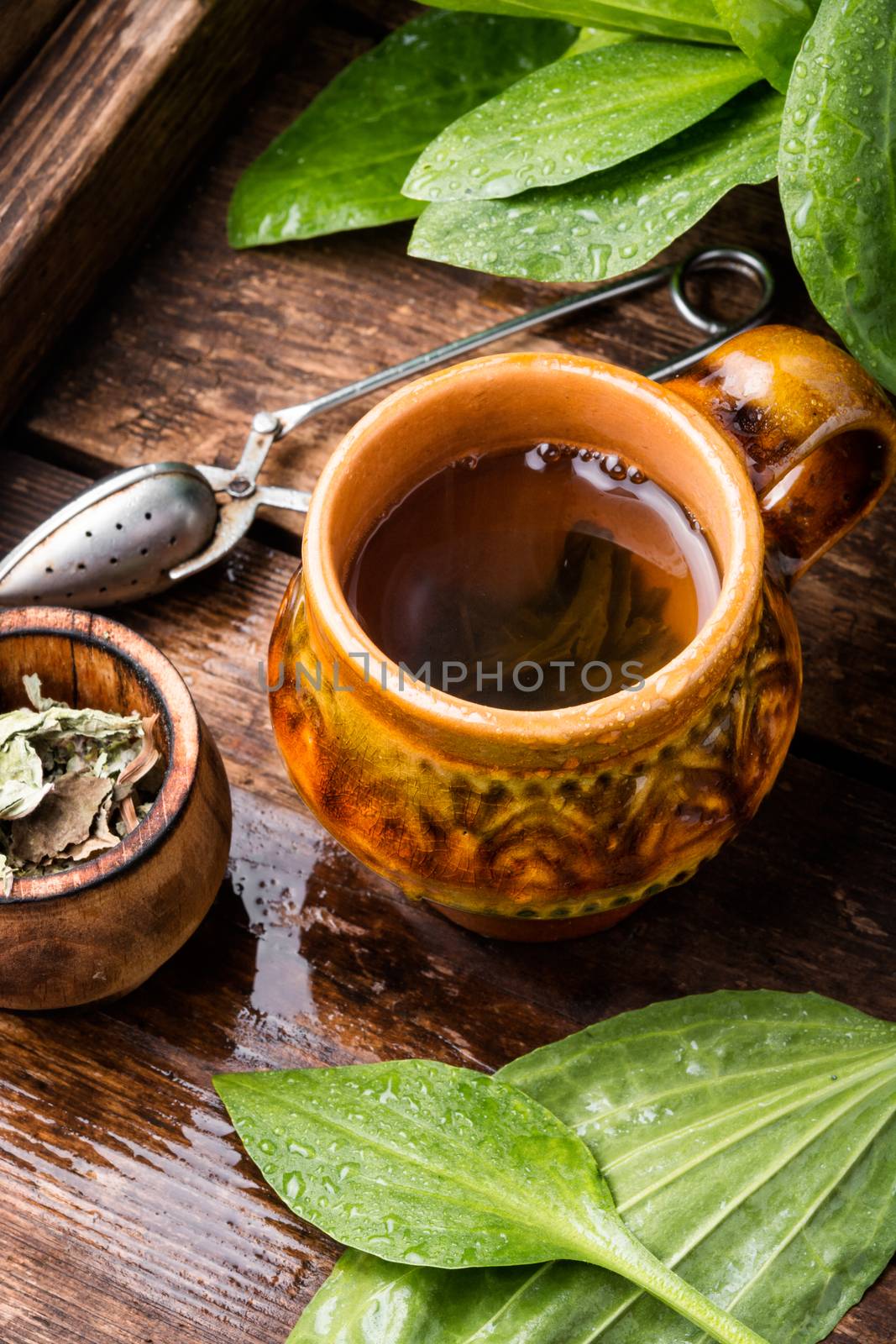 Homeopathic tea from plantain.Herbal tea on wooden background