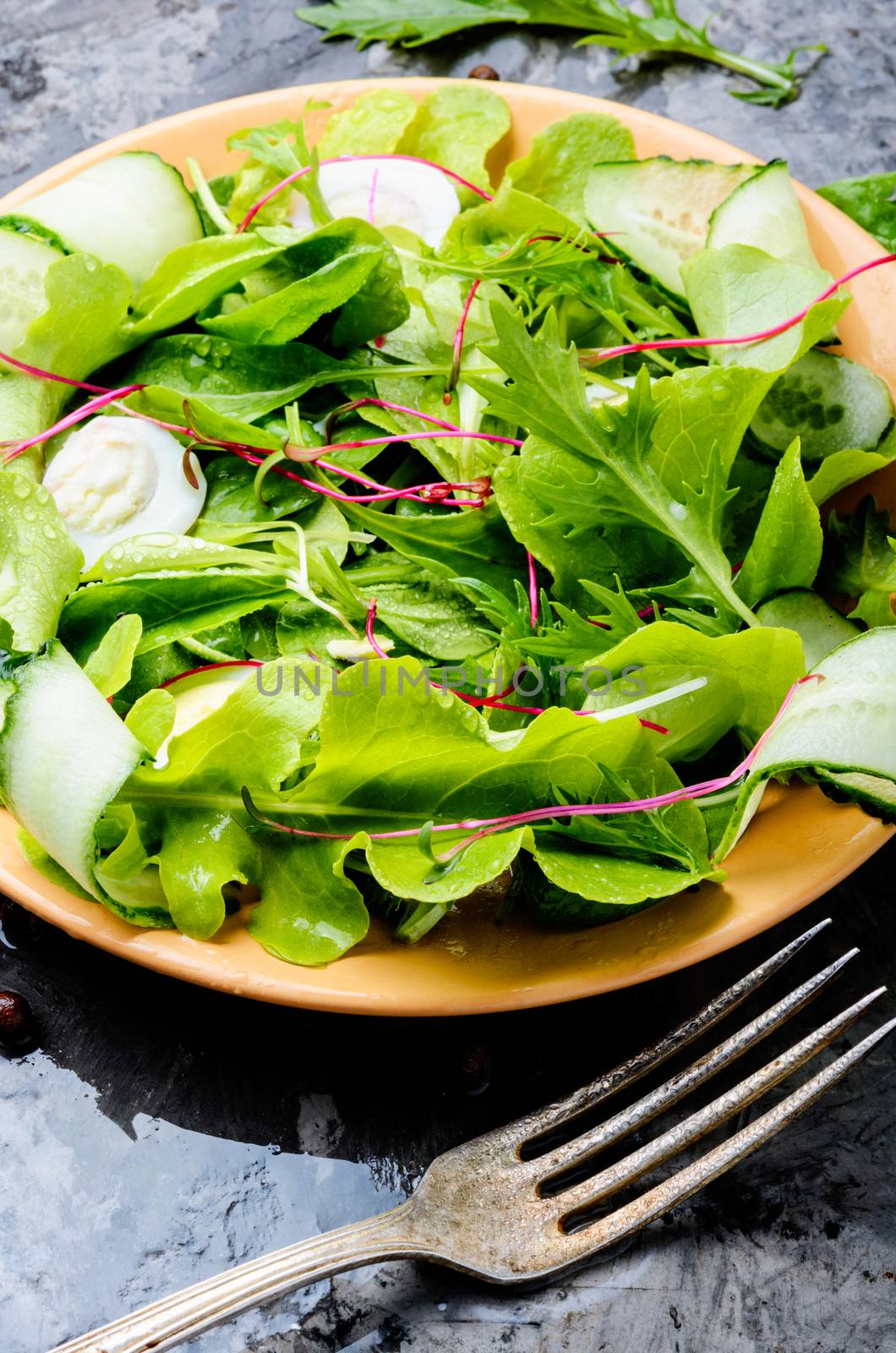 Vegetable salad with fresh lettuce.Fresh green mix salad with microgreens