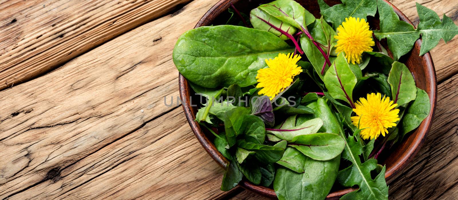 Fresh salad with mixed greens on wooden background.Healthy food.Vegetable salad with fresh lettuce