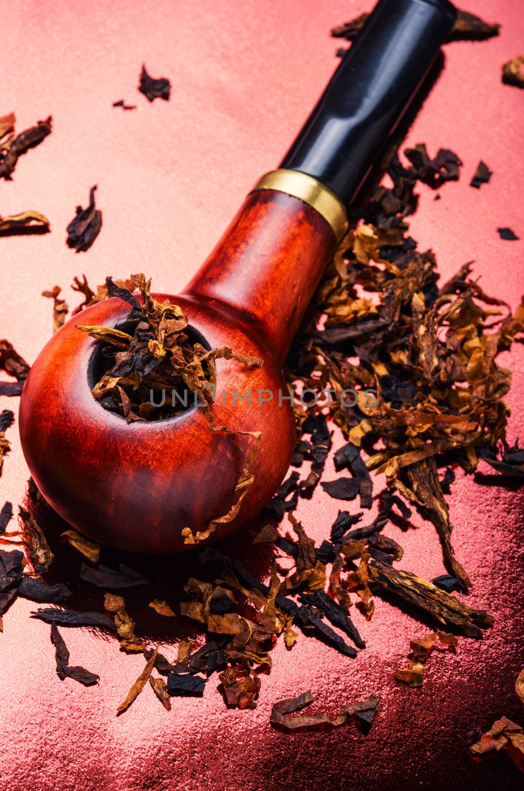 Tobacco pipe with tobacco and scattered virgin tobacco