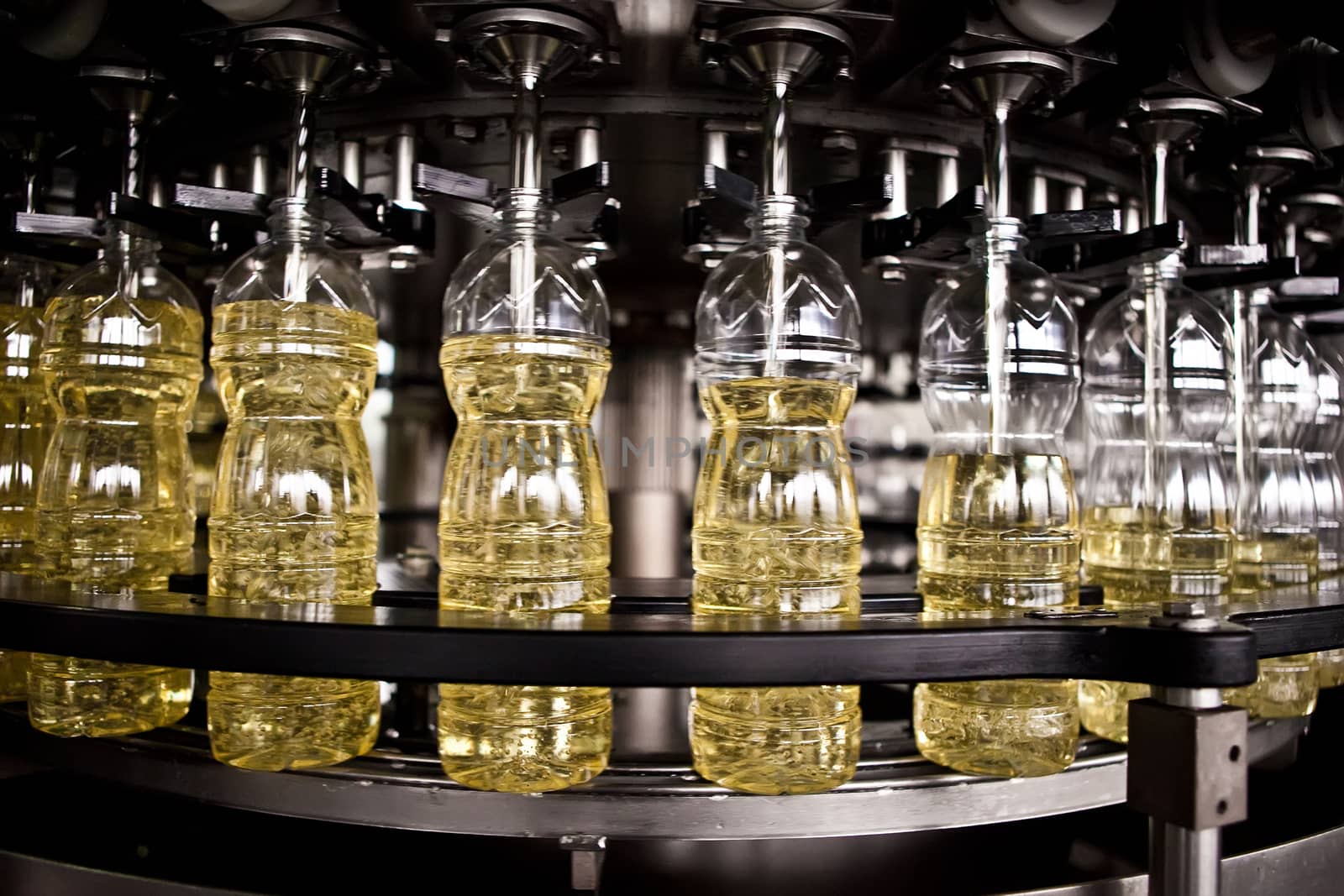 Sunflower oil in the bottle moving on production line. Shallow dof