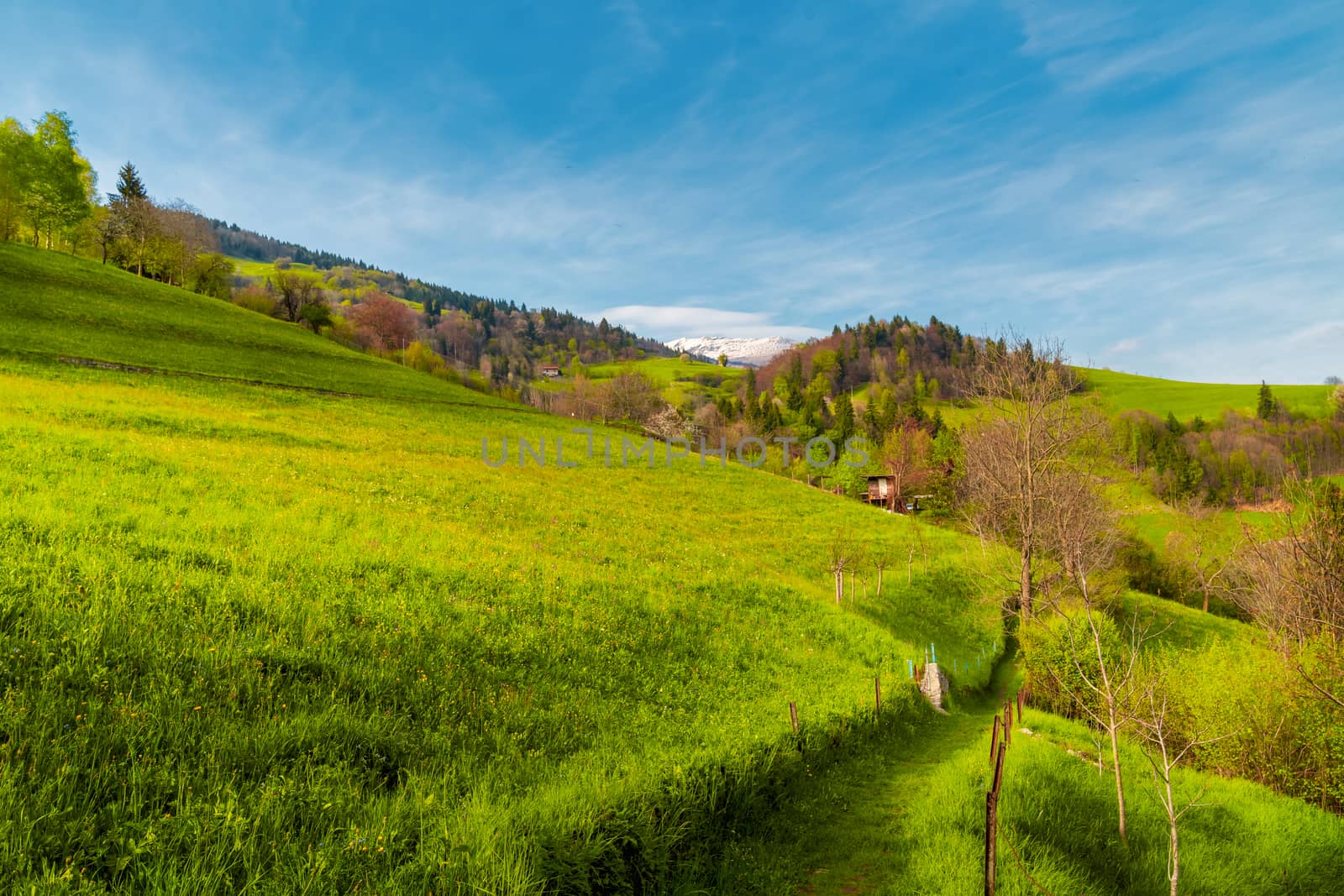 Landscape of green hills Seriana valley mountains by Robertobinetti70