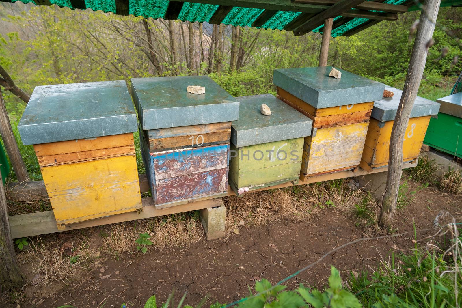 Bee hives on meadow close up by Robertobinetti70