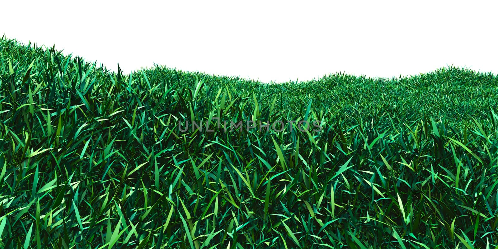 Background image of lush grass field by cherezoff
