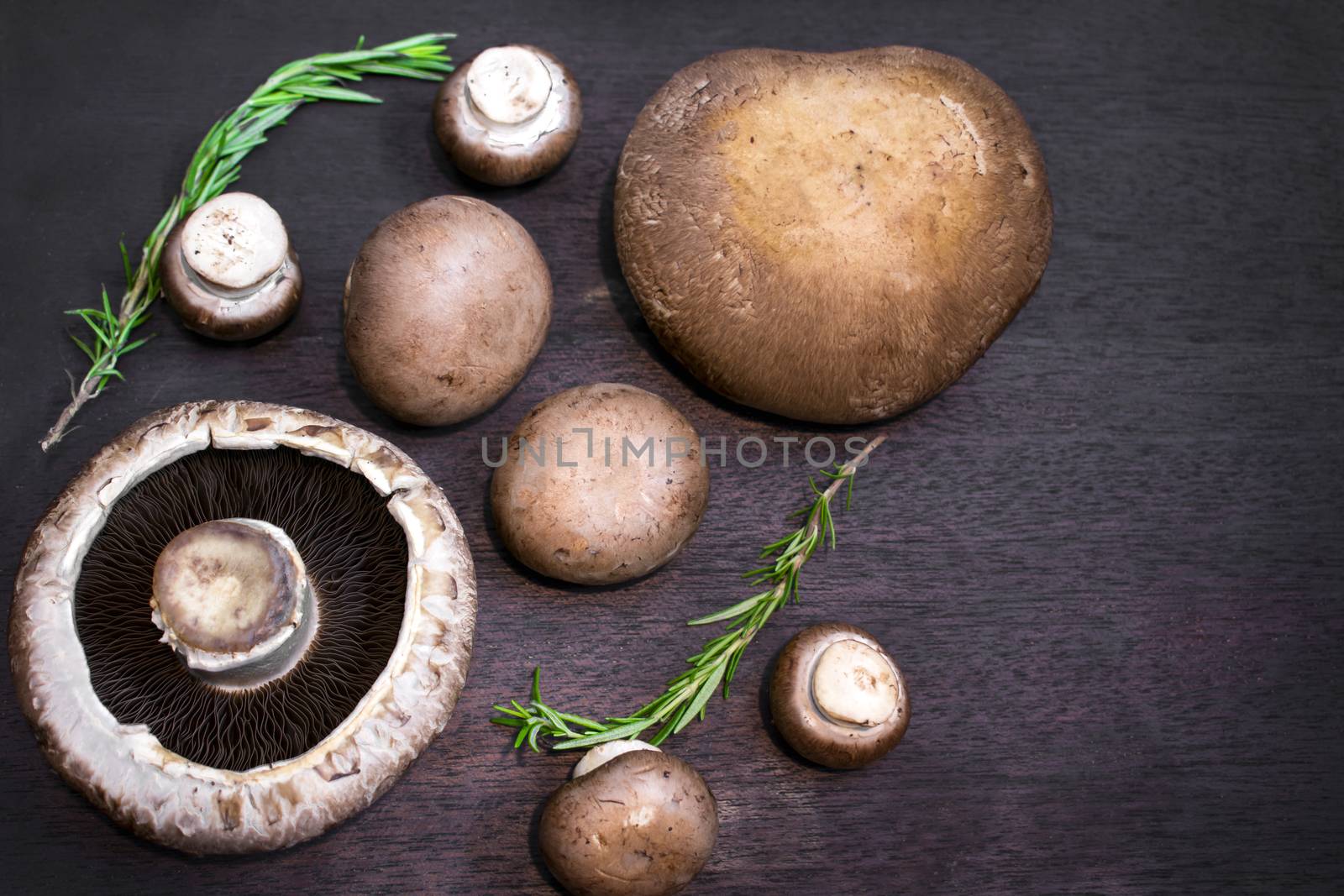 Giant Mushroom, Chubby Mushroom and Rosemary on a Cutting Board by seika_chujo