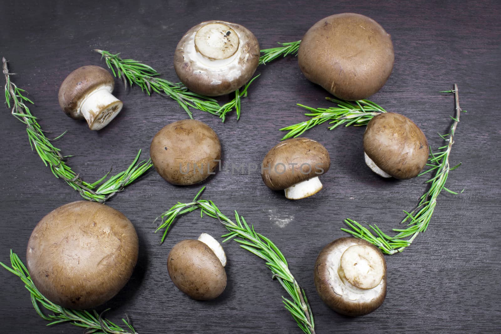 Champignon Mushrooms and Rosemary Scattered on a Cutting Board by seika_chujo