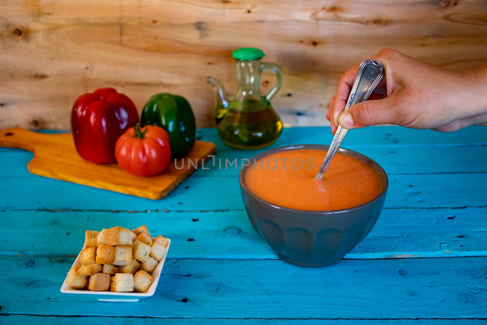 View of gazpacho, a typical Spanish meal with its ingredients in composition