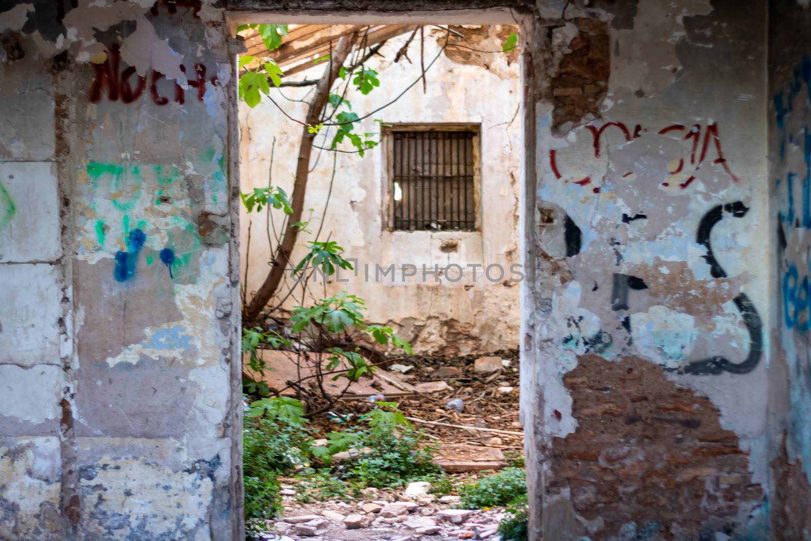 Abandoned house in ruins invaded by nature