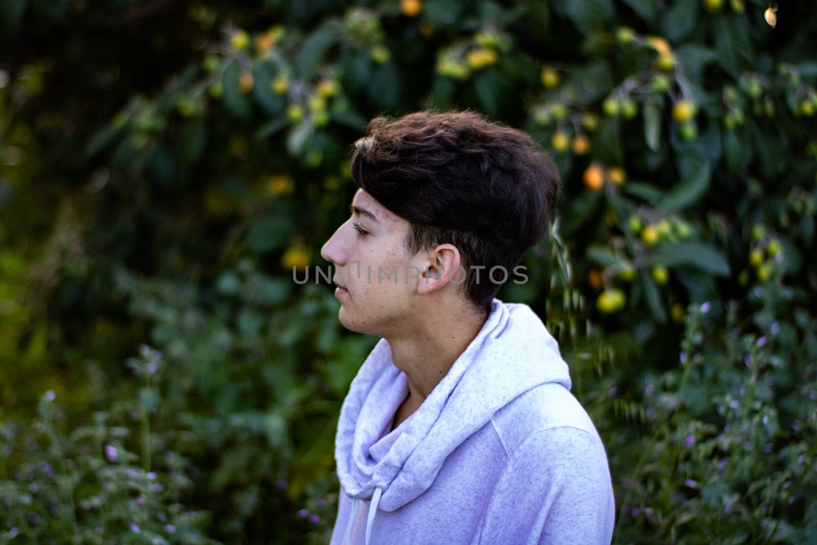 Young boy posing with a tree in the background