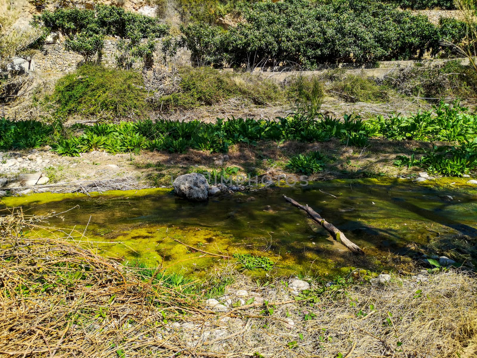 Landscape on the Palancia River bed as it passes through Sot de Ferrer