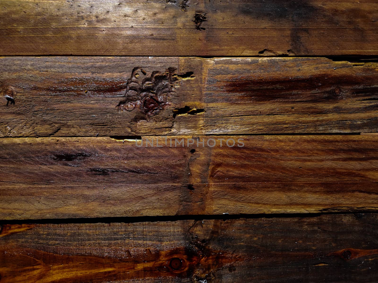 Background of old wooden slats treated with linseed oil