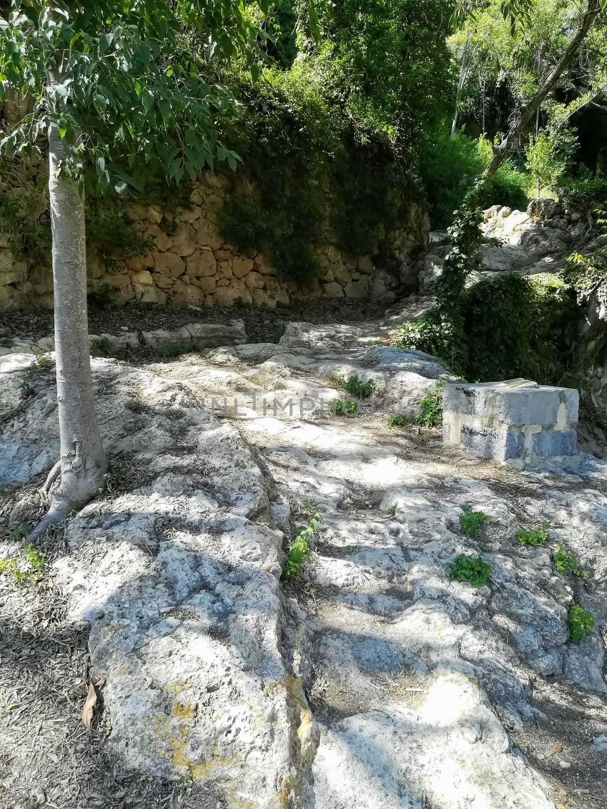 View of natural landscape with a stone wall at the bottom covered with plants
