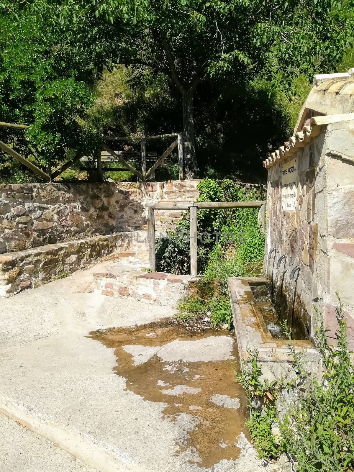Stone fountain in the middle of nature with wooden walls and fences