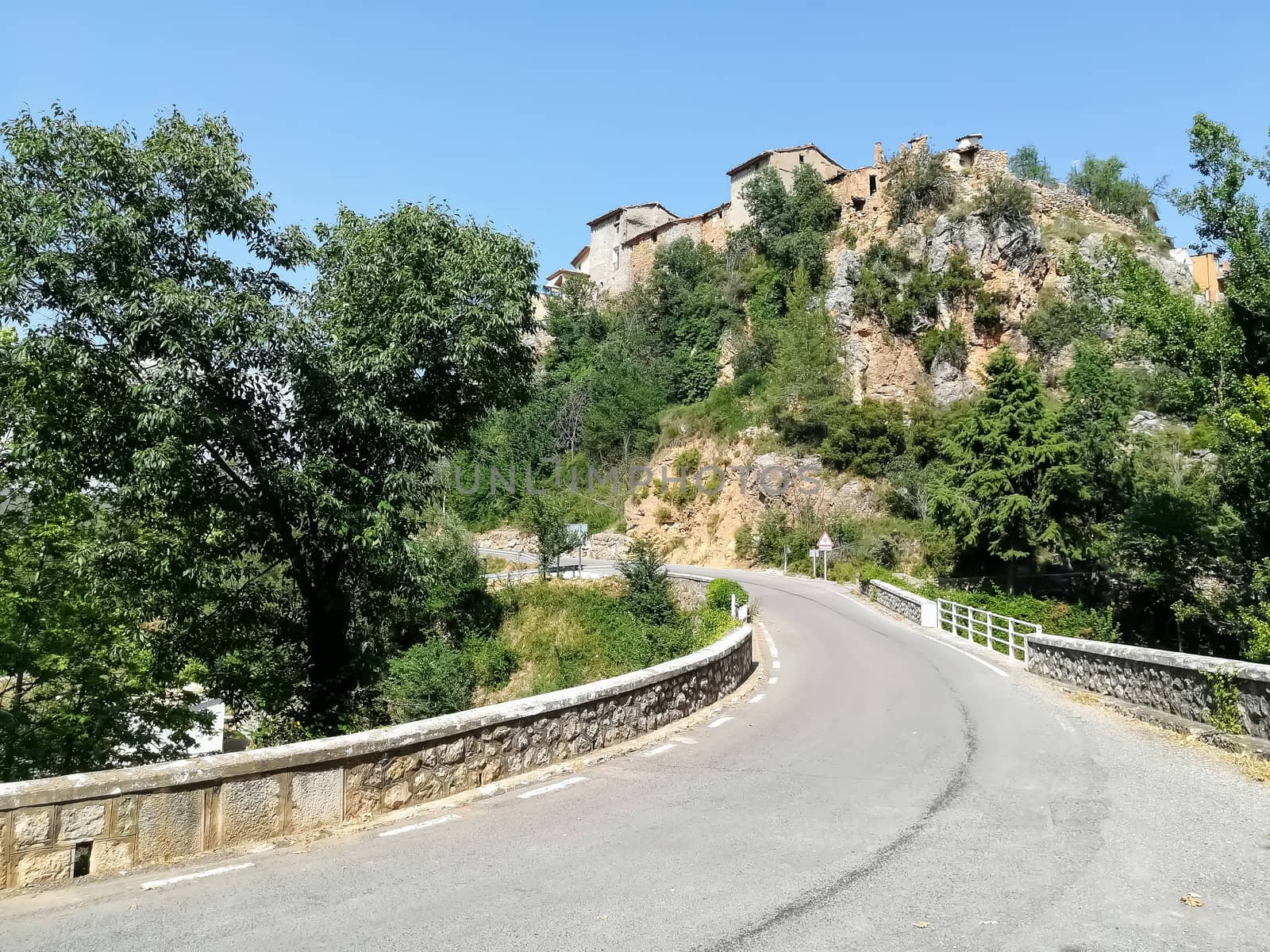View of the town of Fuente de la Reina from the road with several trees on the margins