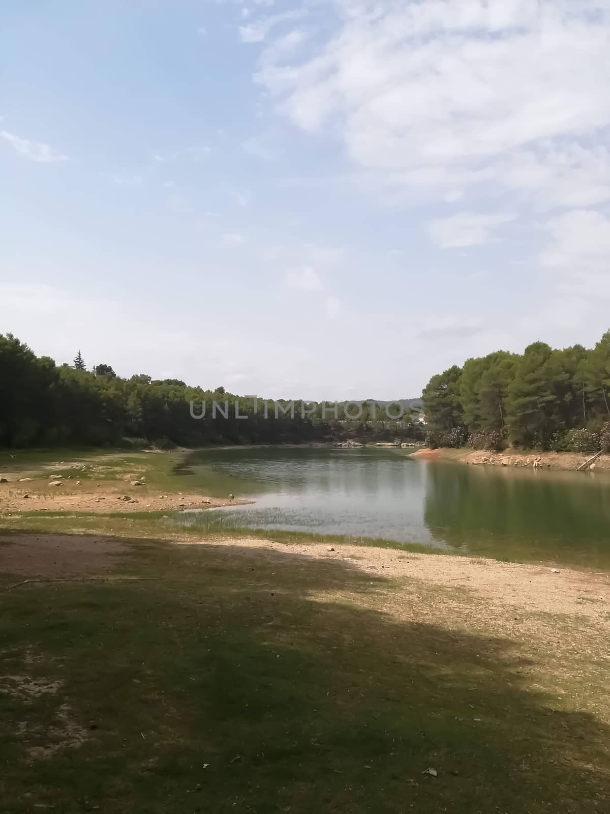 View of Puebla reservoir with mountains in the background and a pine forest