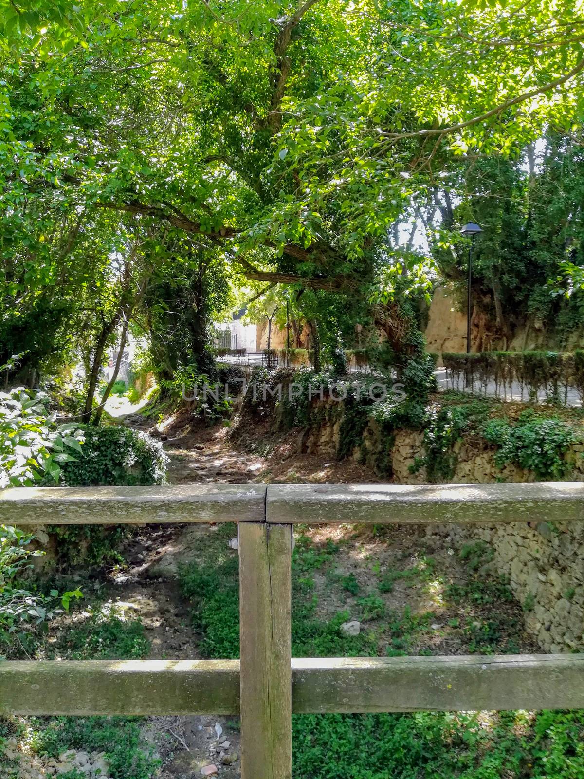 View of the occasionally dry channel of the natural landscape of La Floresta