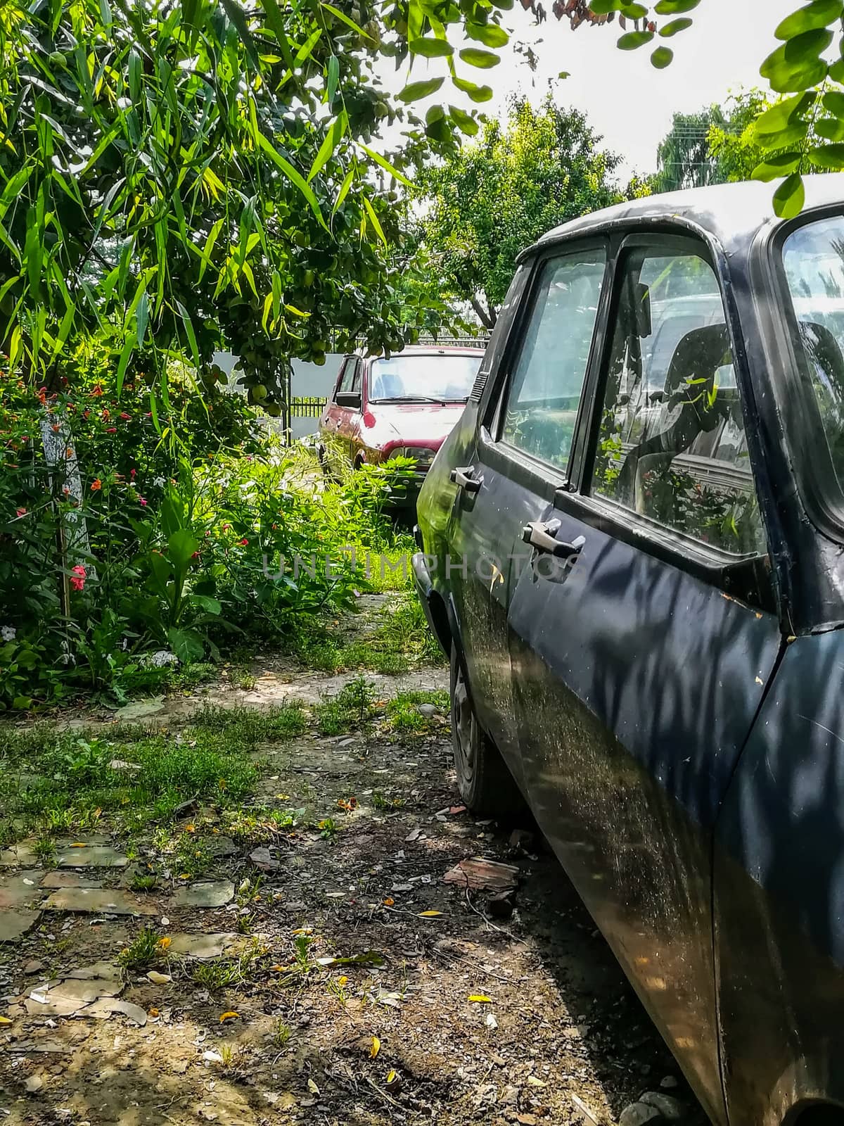 View of two antique cars in a garden in Romania