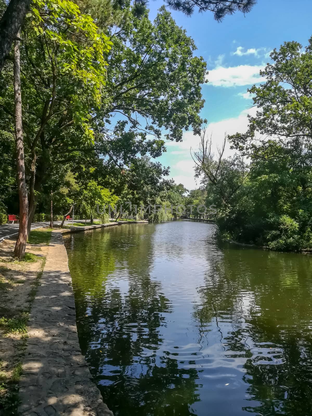 View of the pond with trees on the banks of the Crang park in Romania