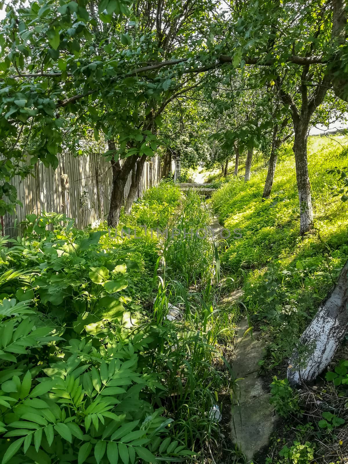 View of very green trees and grass in a large park of Puerto de Sagunto