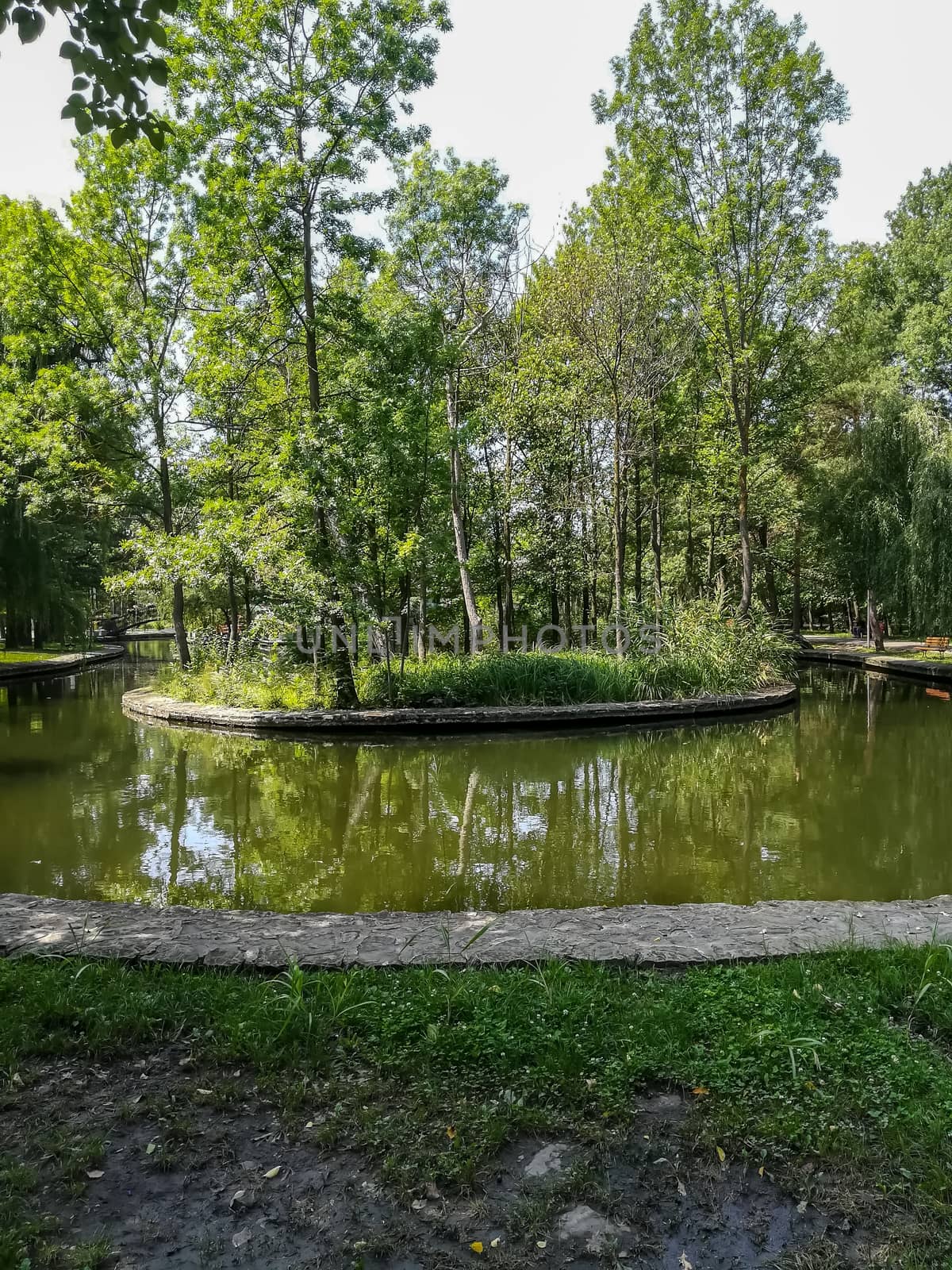 View of very green trees and grass in a large park of Puerto de Sagunto