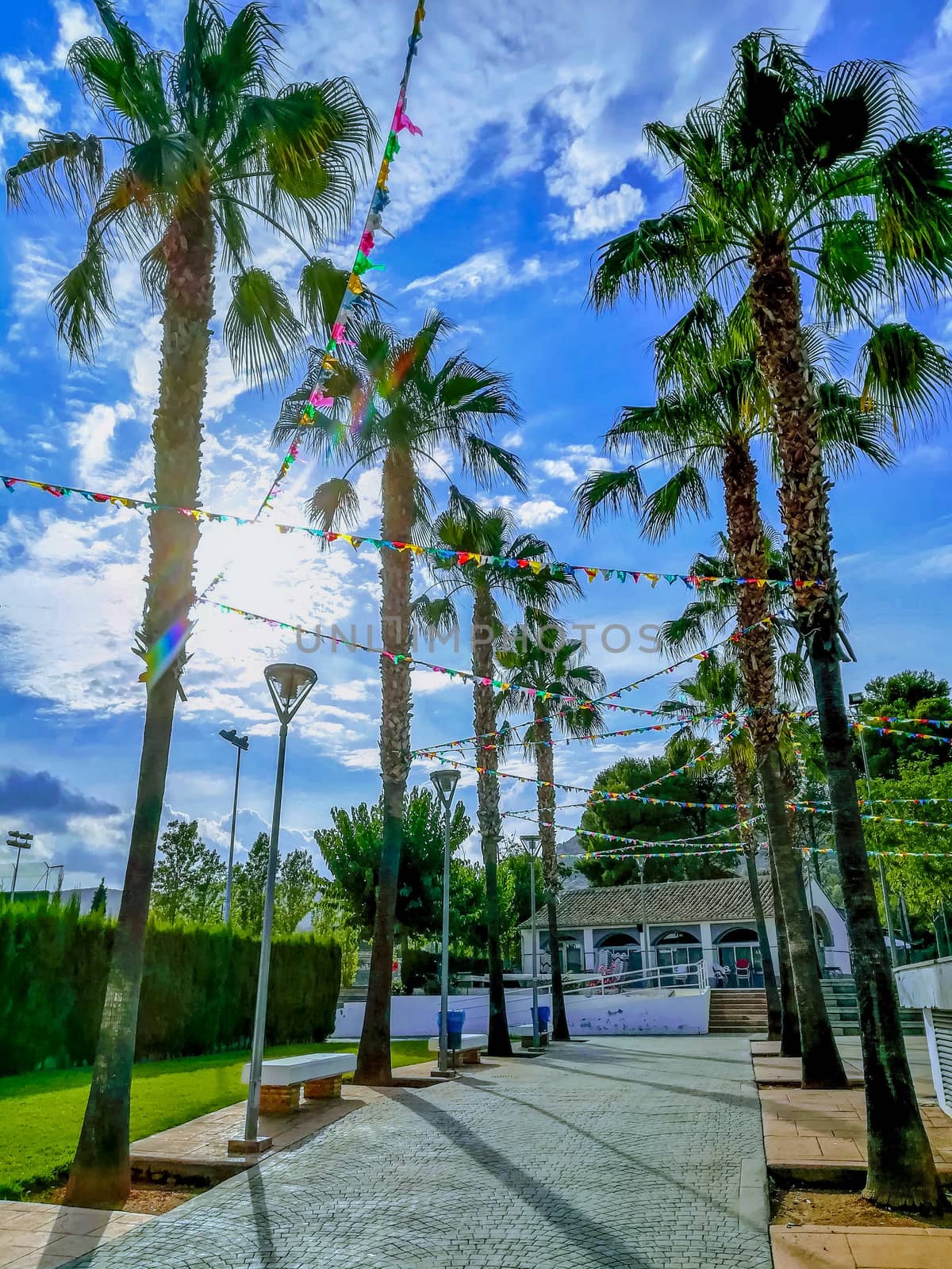 Walk with palm trees on both sides with festive flags in Algimia