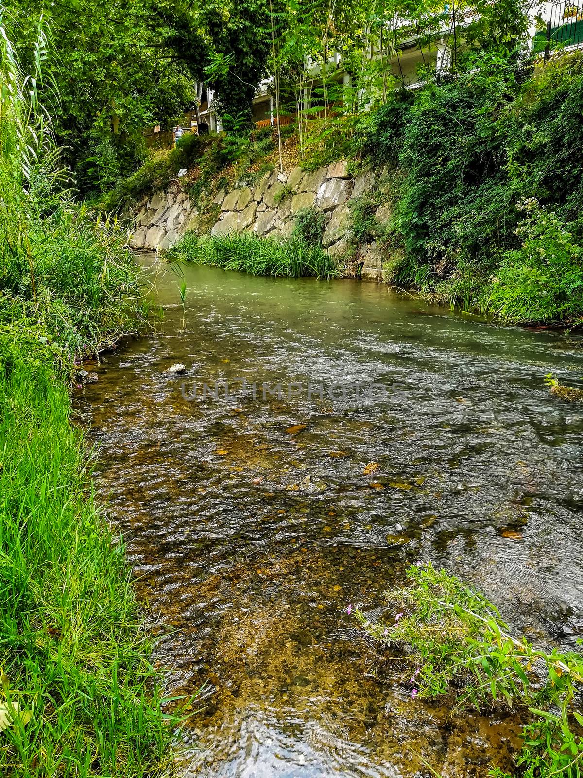View of Palancia river a lot of vegetation as it passes through Segorbe