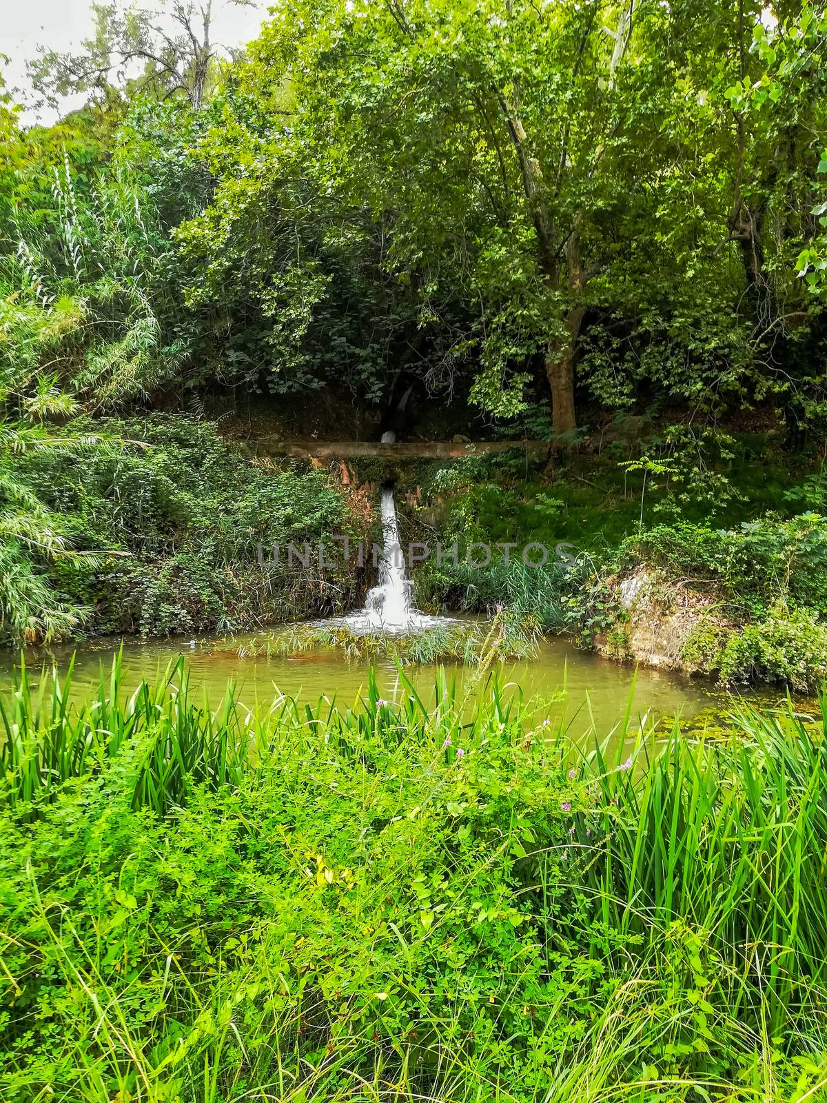 View of Palancia river a lot of vegetation as it passes through Segorbe