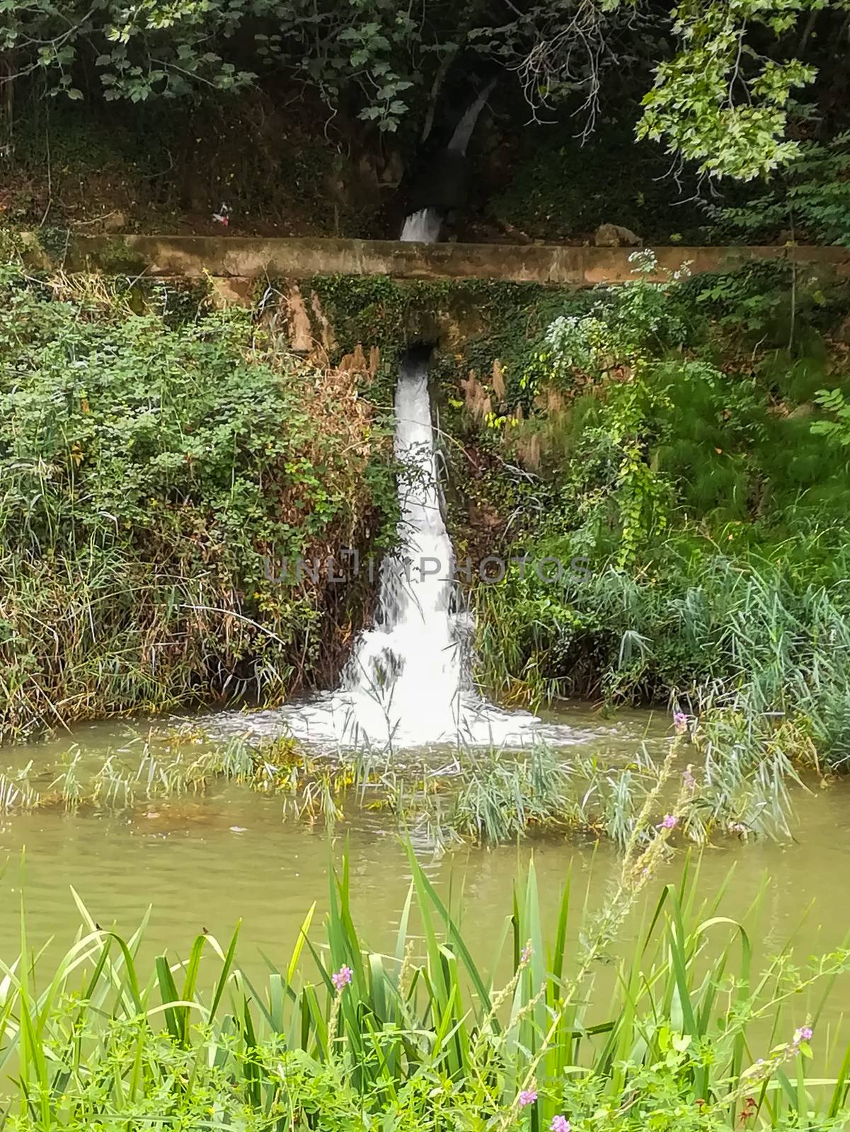 View of Palancia river a lot of vegetation as it passes through Segorbe