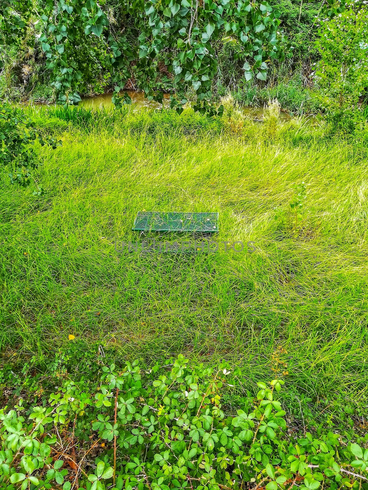 Metallic camping table swallowed by the tall grasses on the shore of the river Palancia