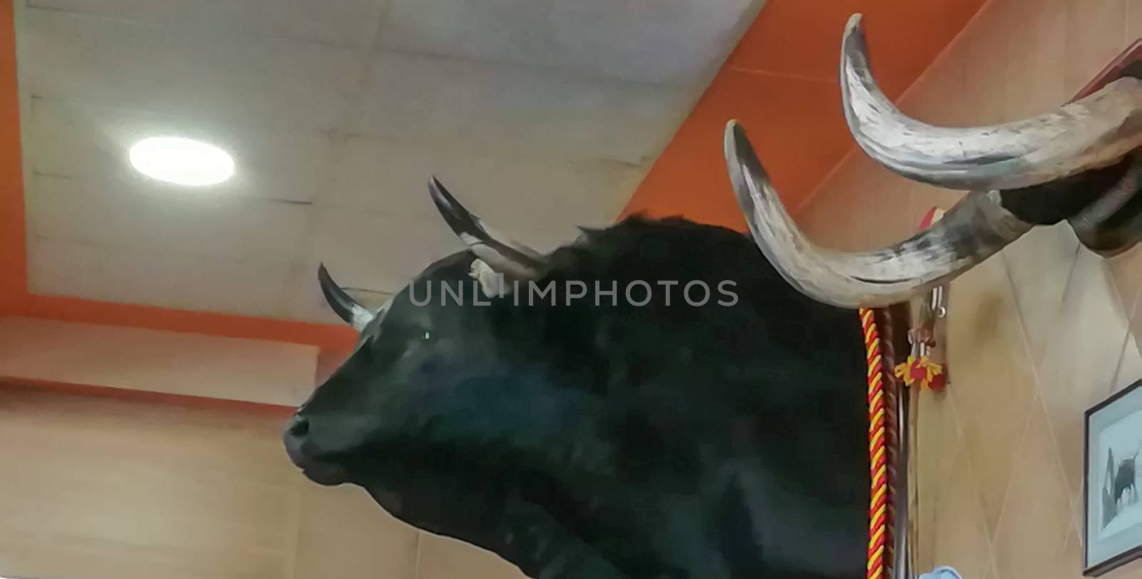 Stuffed bull head hanging on the wall of tiles