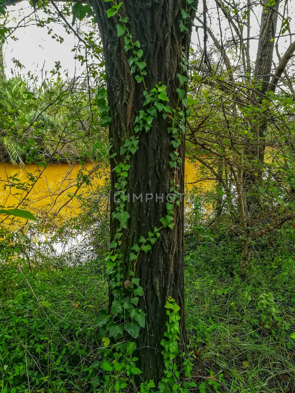 River of the natural setting of Clot with sediment laden water after heavy rains