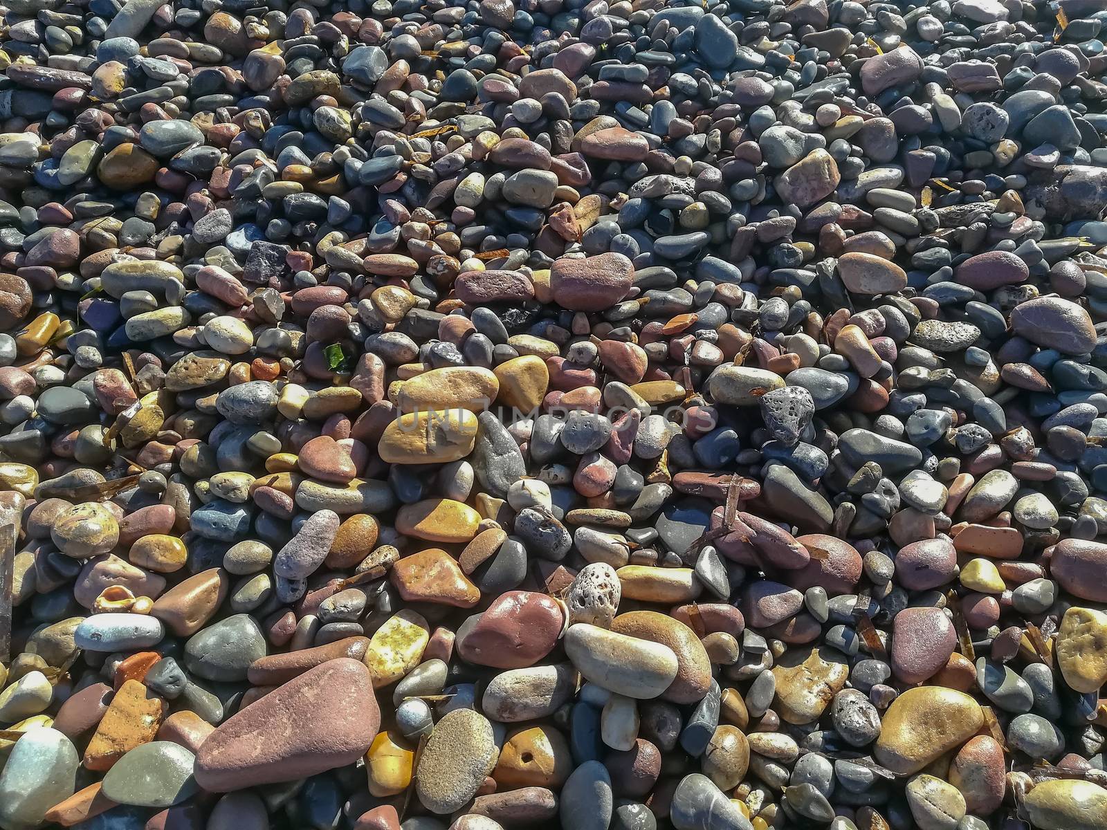 Rounded stones on the beach of different colors