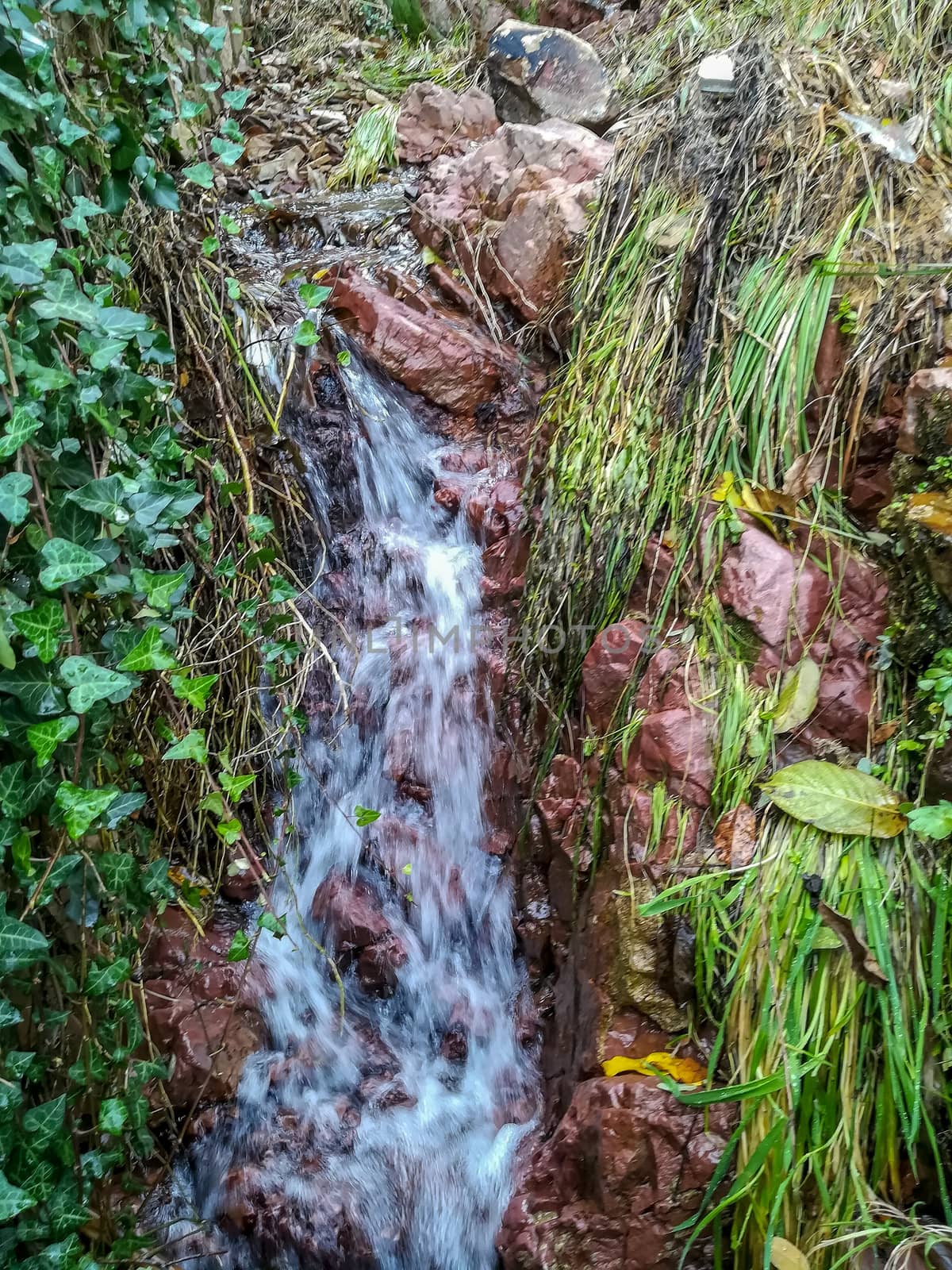 Small waterfall with reddish rocks and varied vegetation