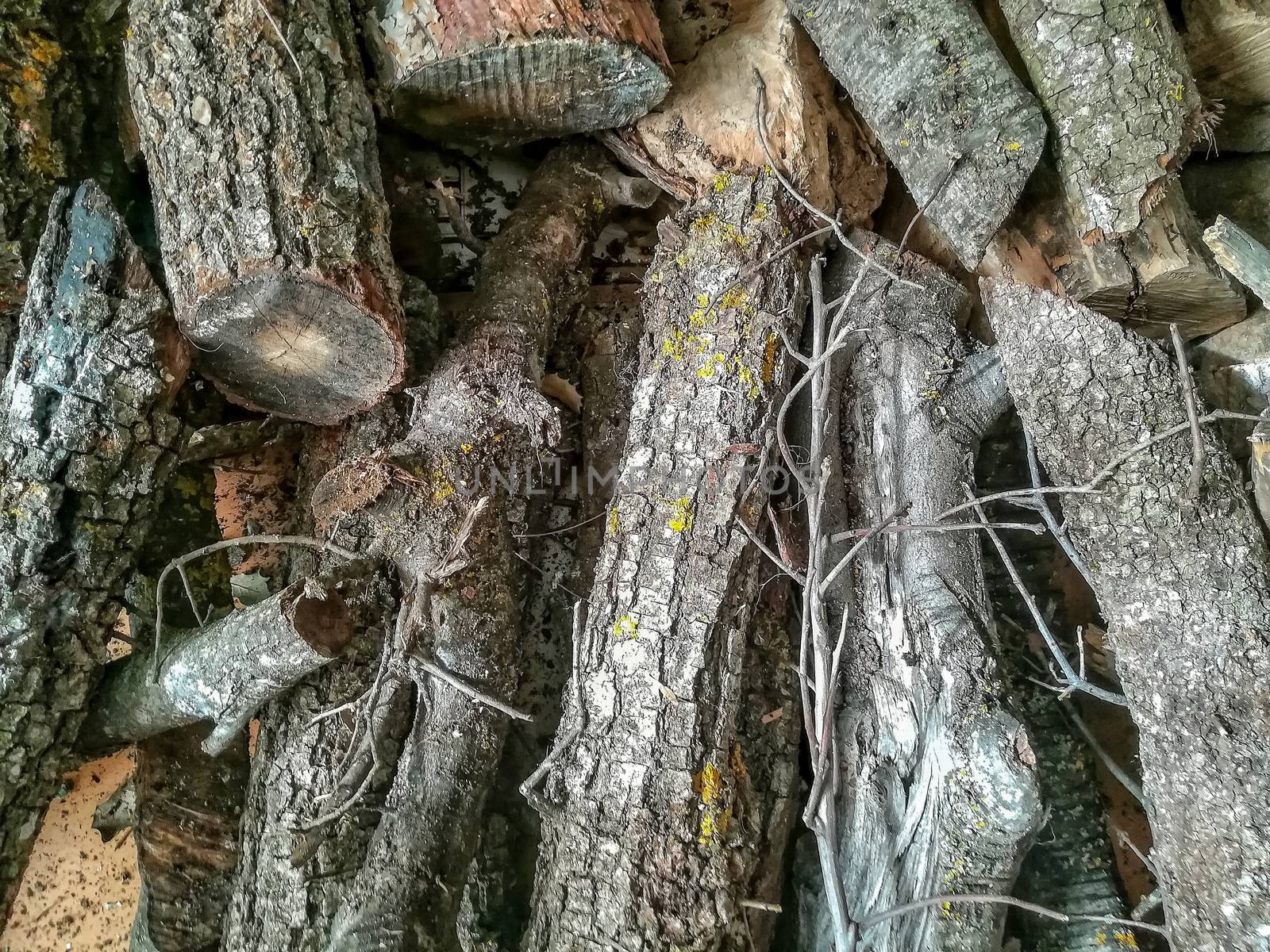 View of logs of stacked wood
