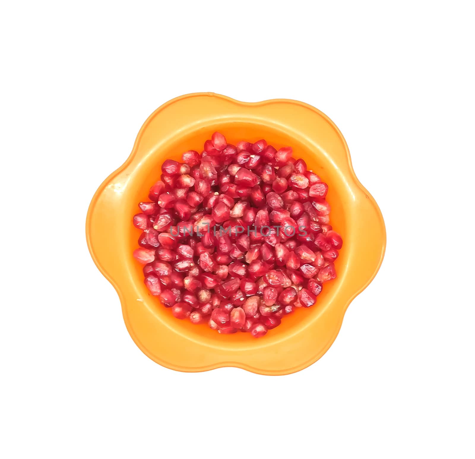 Forest fruits in composition on white background