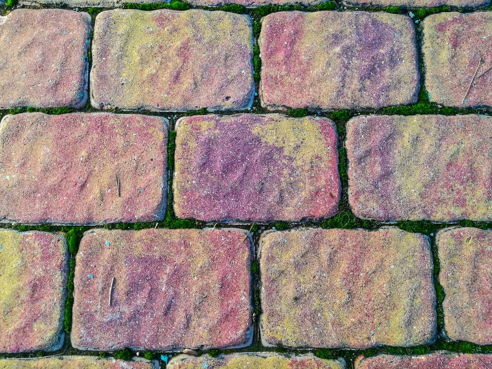 Rough pavement in pastel tones with moss on the boards