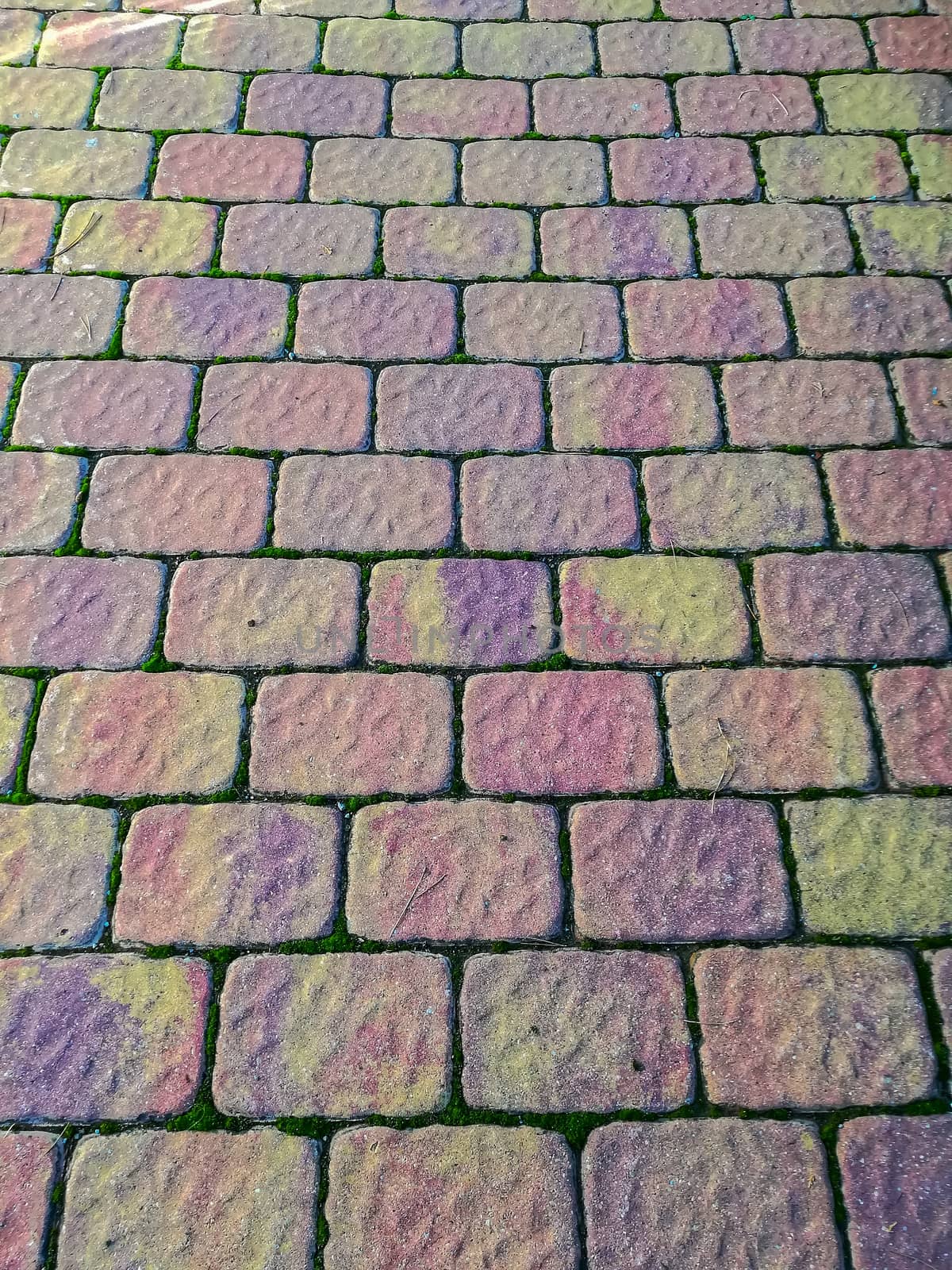 Rough pavement in pastel tones with moss on the boards
