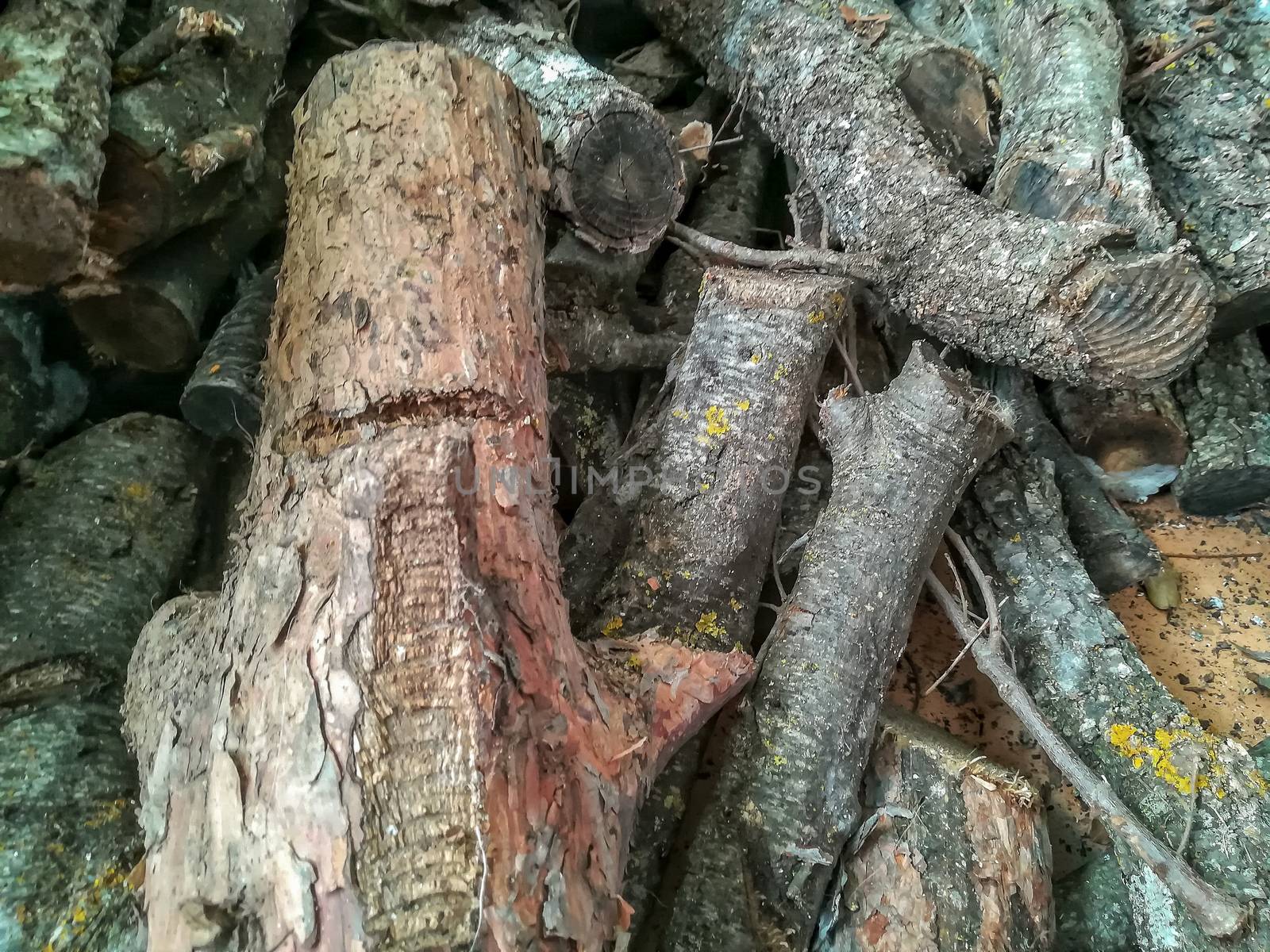 View of logs of stacked wood