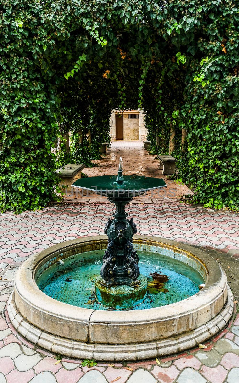 Ancient fountain with a structure covered with plants behind it