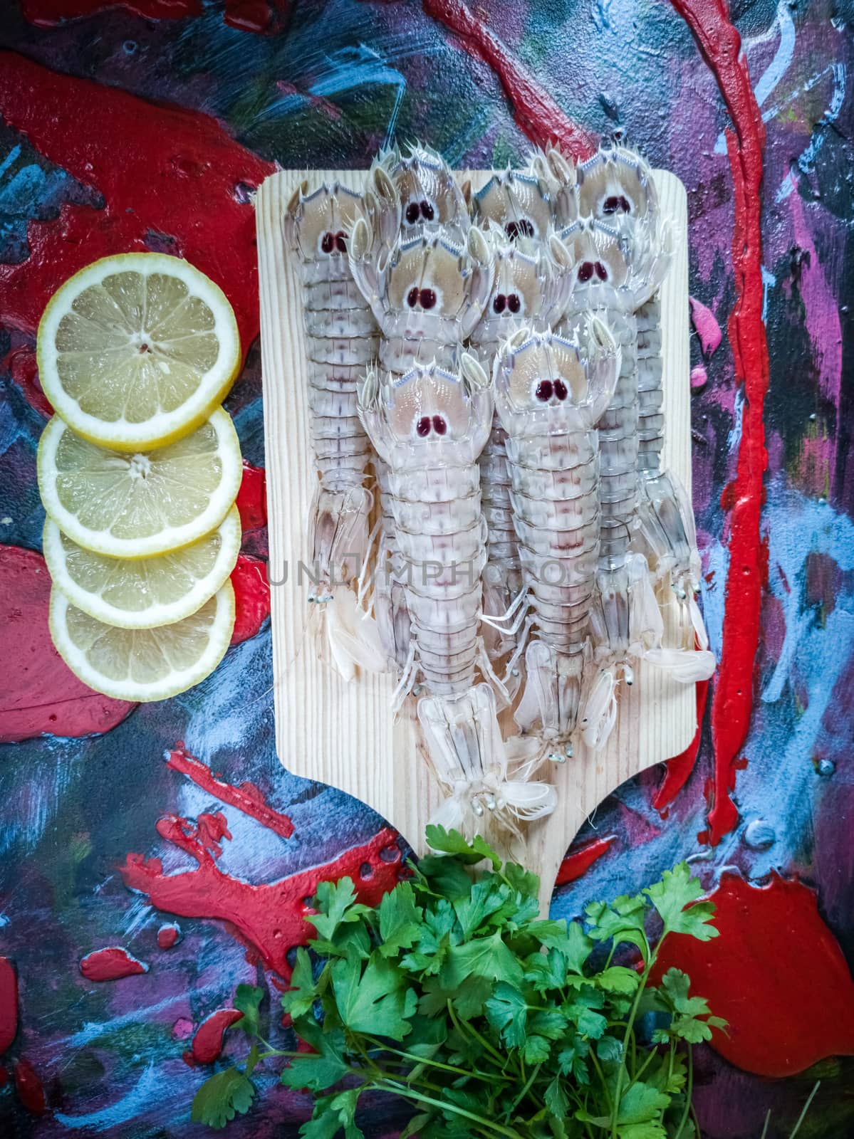 Seafood in composition on colorful and rough background