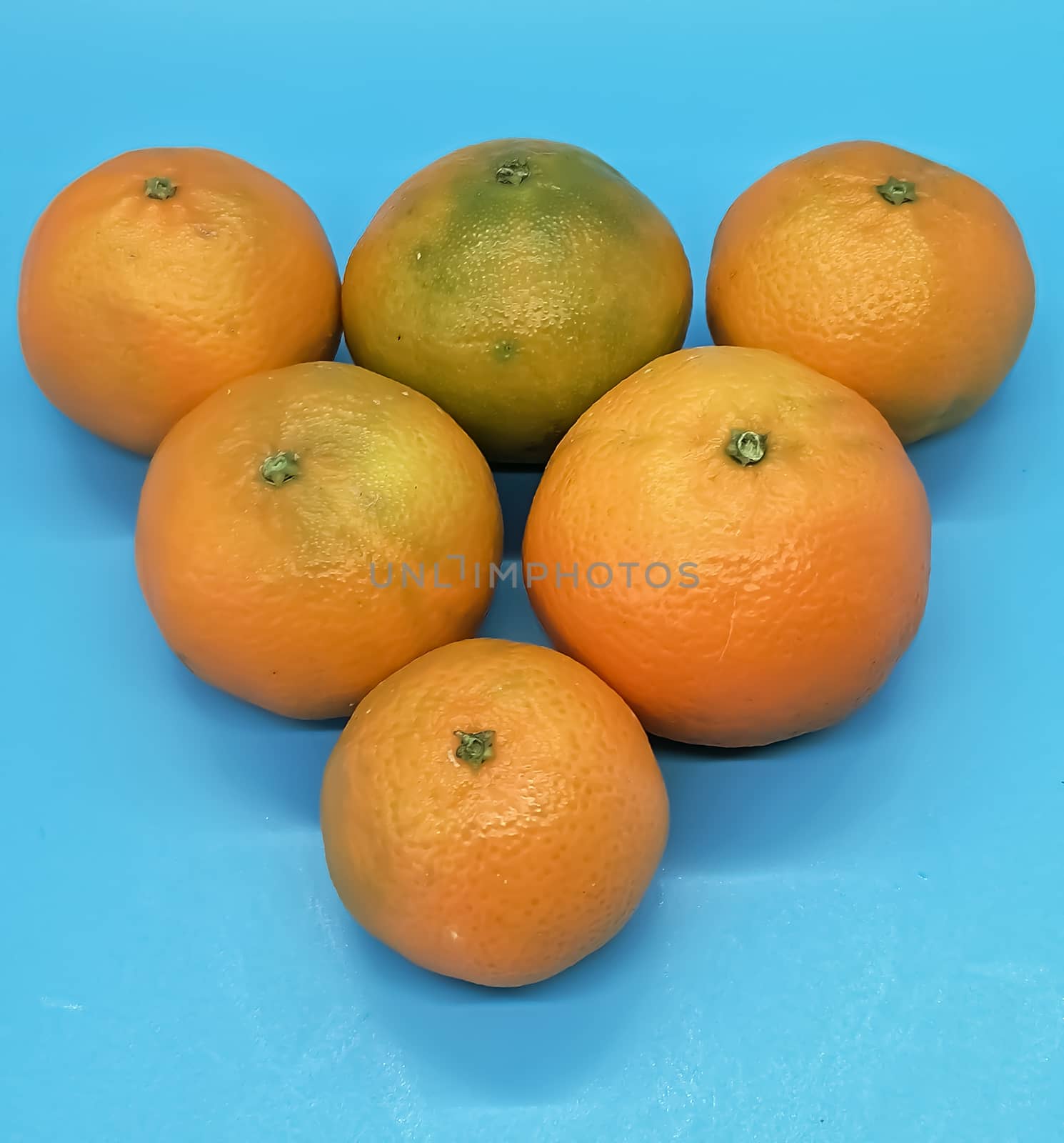 Small orange in composition on blue background