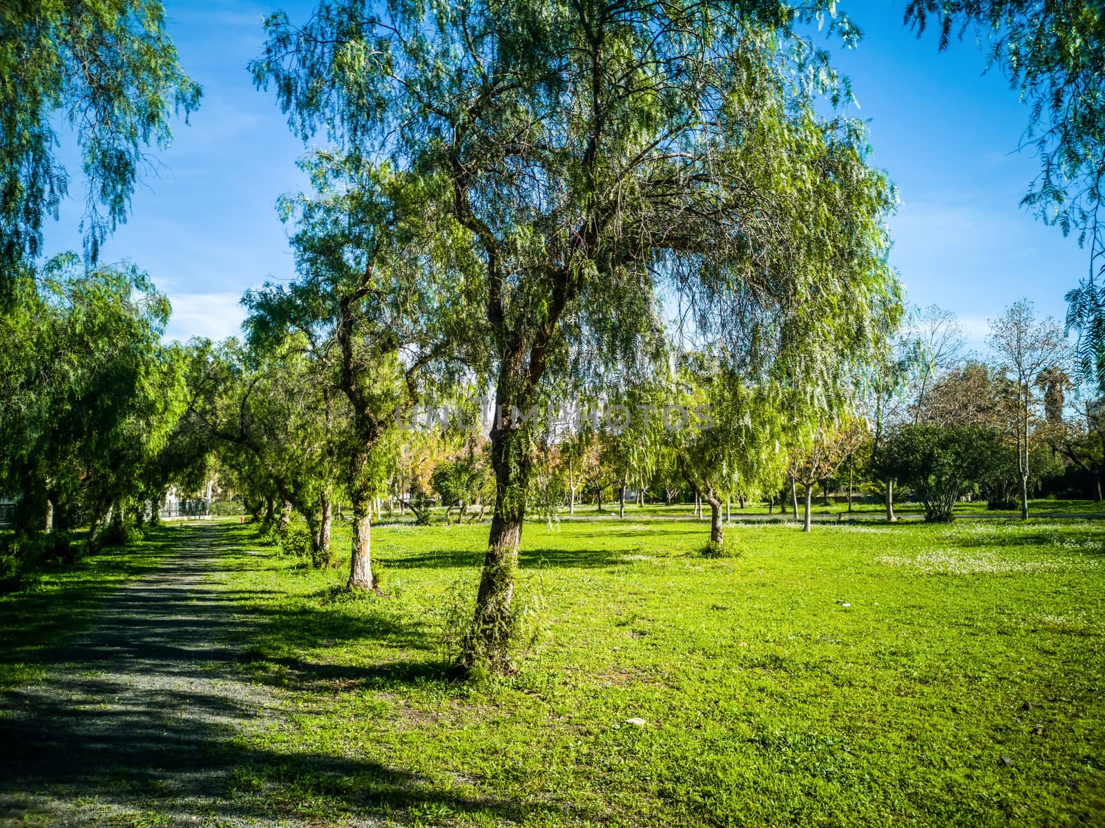 View of very green trees and grass in a large park of Puerto de Sagunto