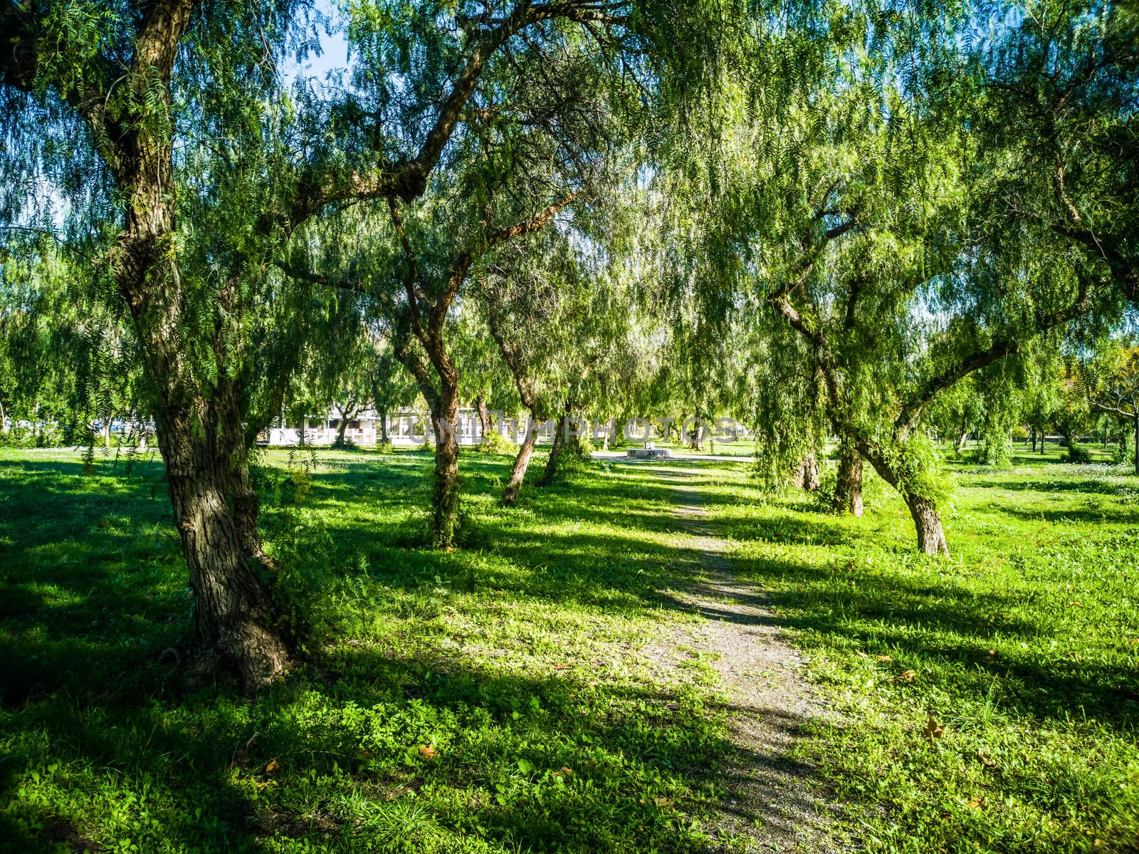 View of very green trees and grass in a large park of Puerto de Sagunto