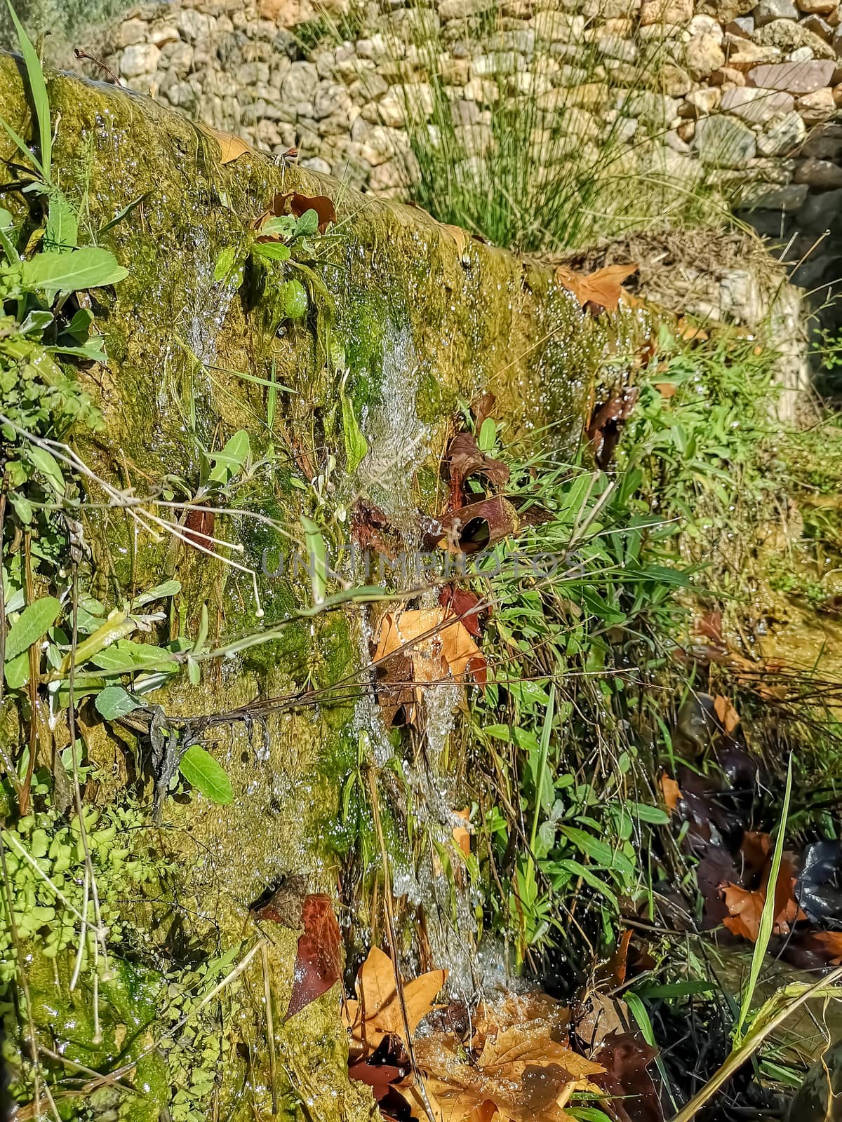 Jumping water background with moss and stone wall behind