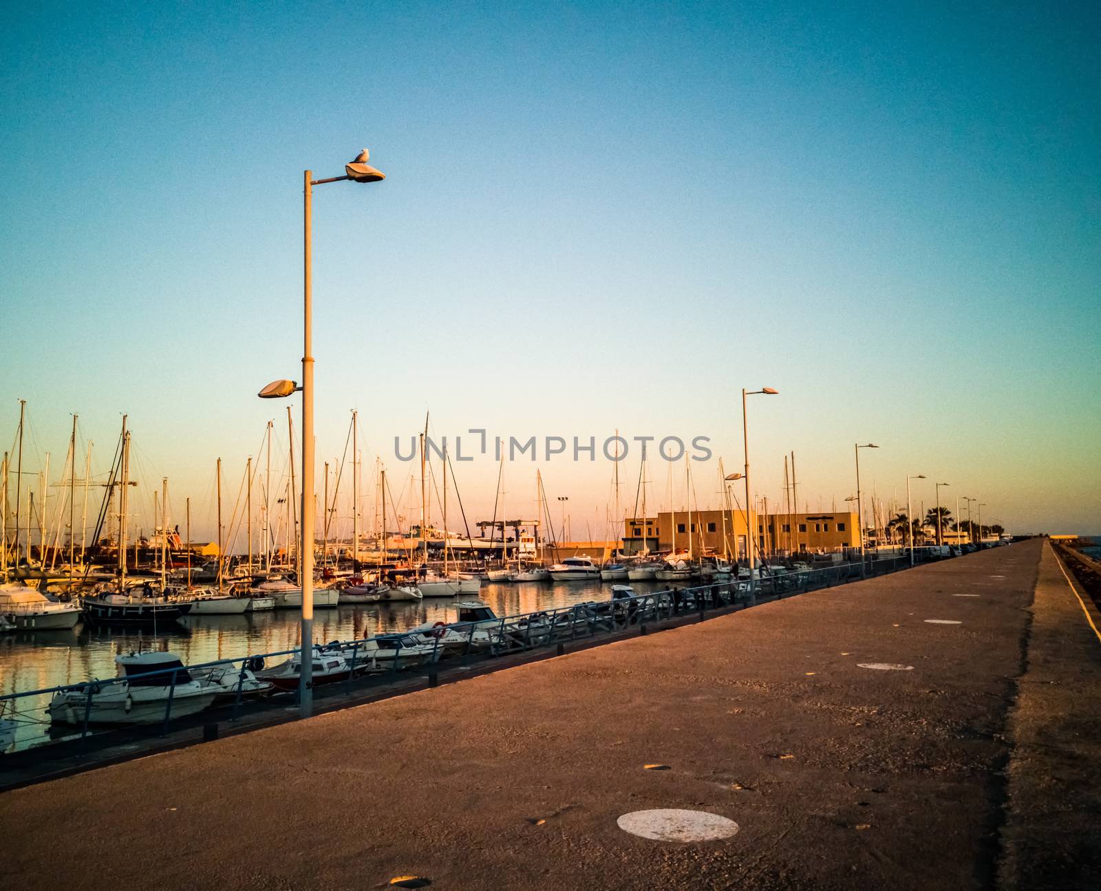 Harbor of Burriana at sunset with a seagull on a street lamp