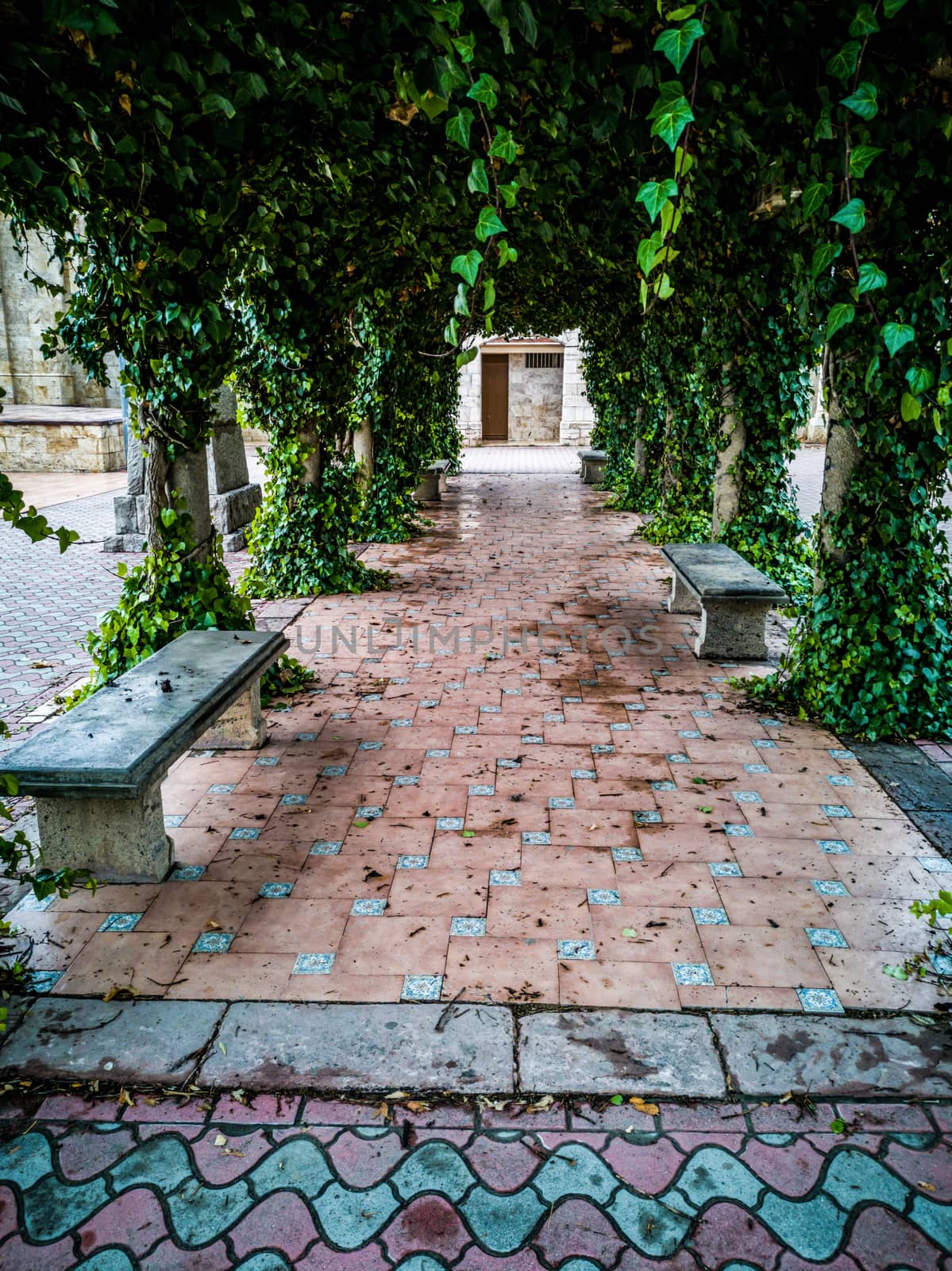 Stone benches covered by plants in a Segorbe park
