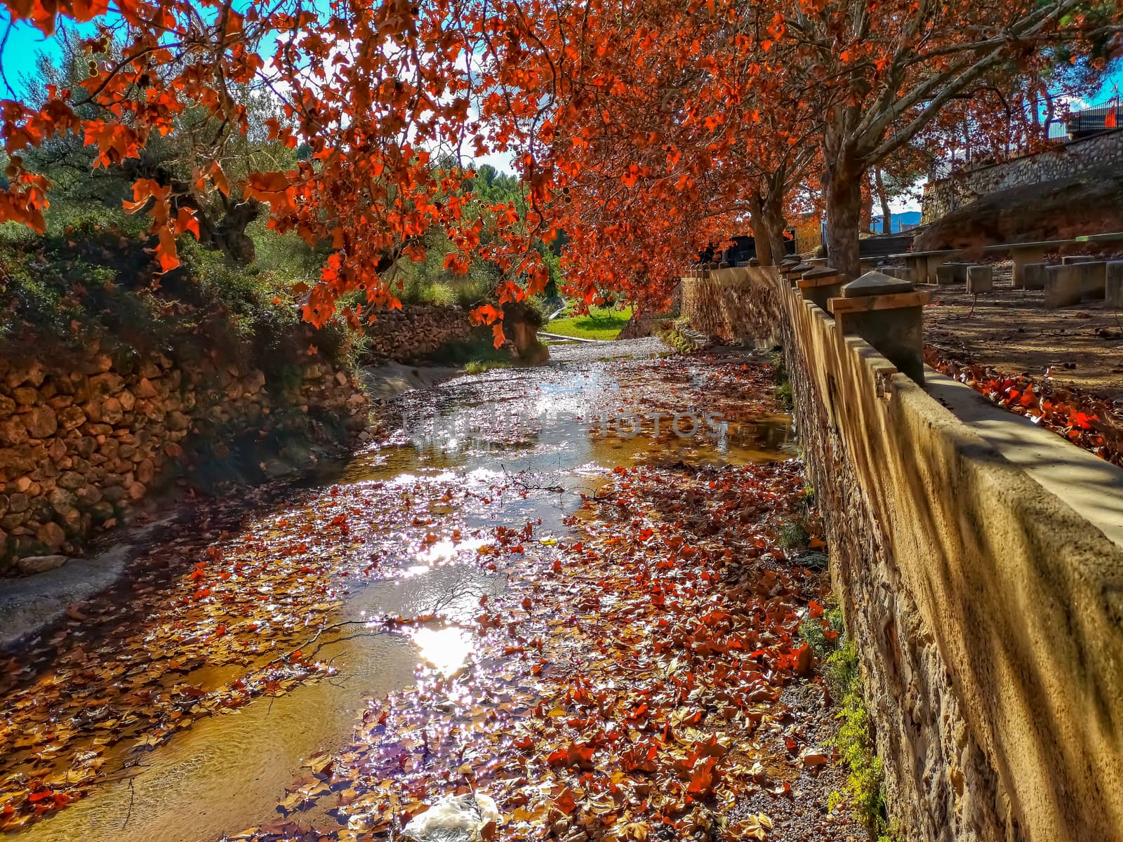 Autumnal landscape with many dry leaves with brown tones